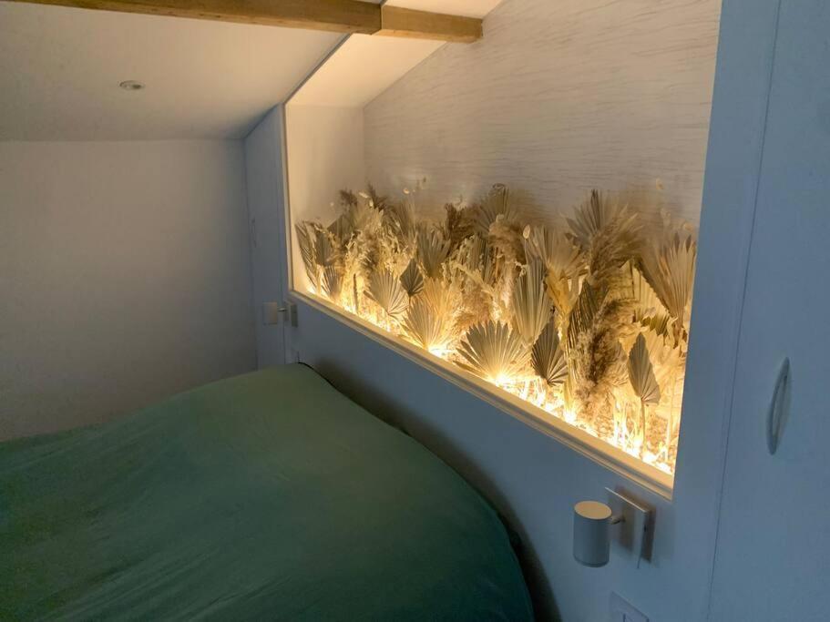 Joli - Apartment Roques (Haute-Garonne)